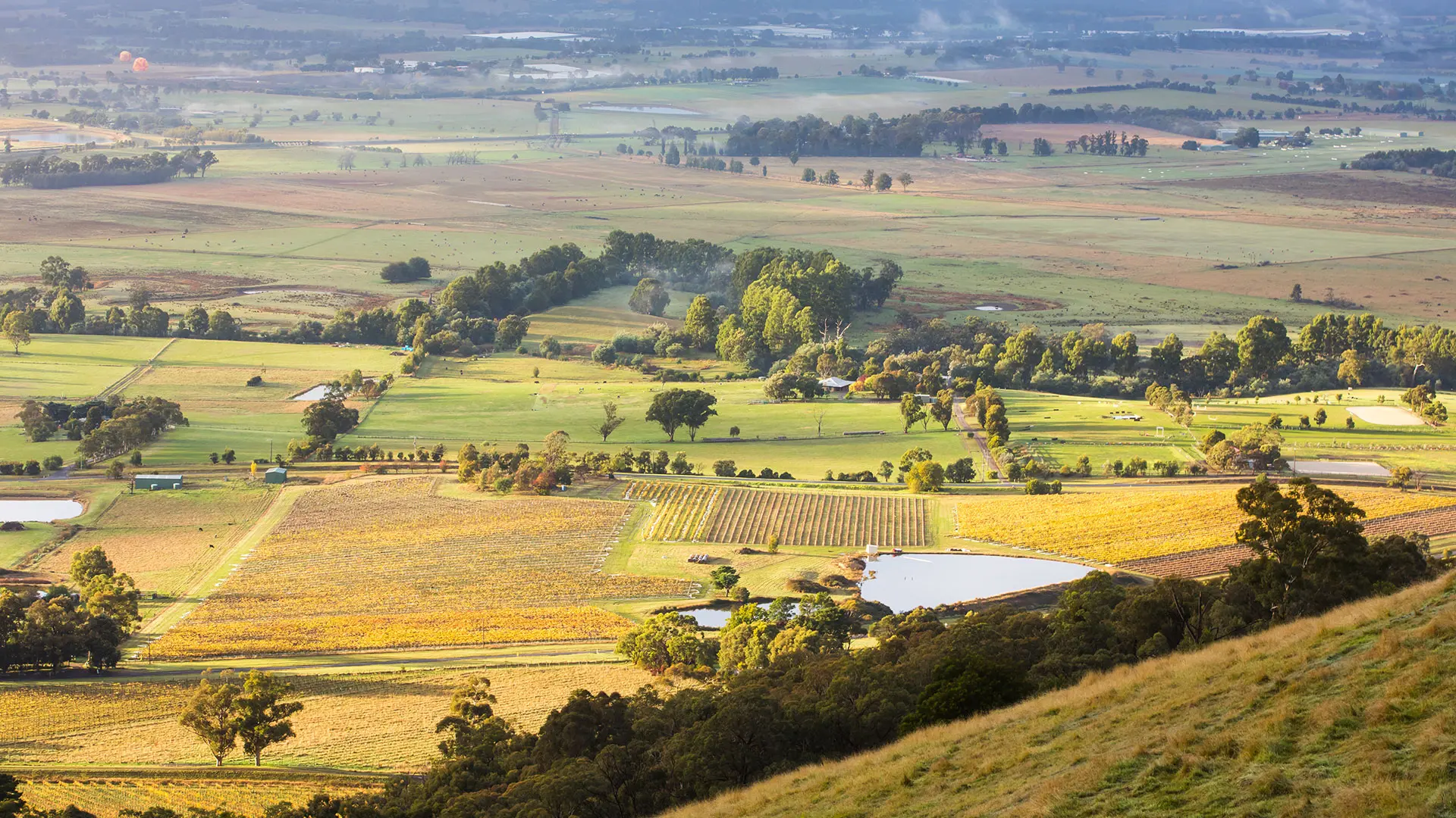 yarra glen accommodation