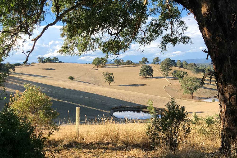 neroli wesley YCXvEPoLtfg unsplash