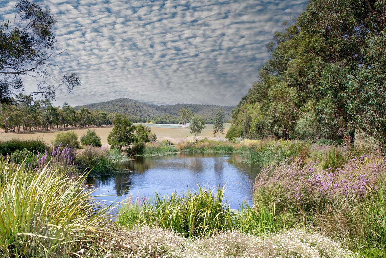 accommodation in Yarra Valley